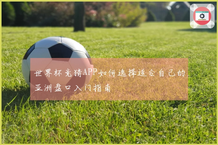 世界杯竞猜APP如何选择适合自己的亚洲盘口入门指南