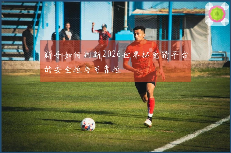 新手如何判断2026世界杯竞猜平台的安全性与可靠性