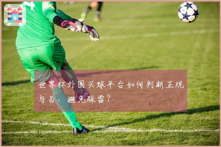 世界杯外围买球平台如何判断正规与否，避免踩雷？