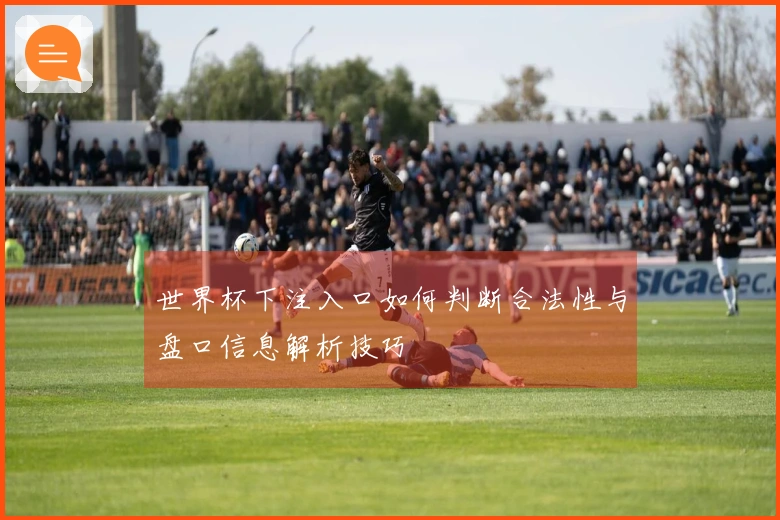 世界杯下注入口如何判断合法性与盘口信息解析技巧