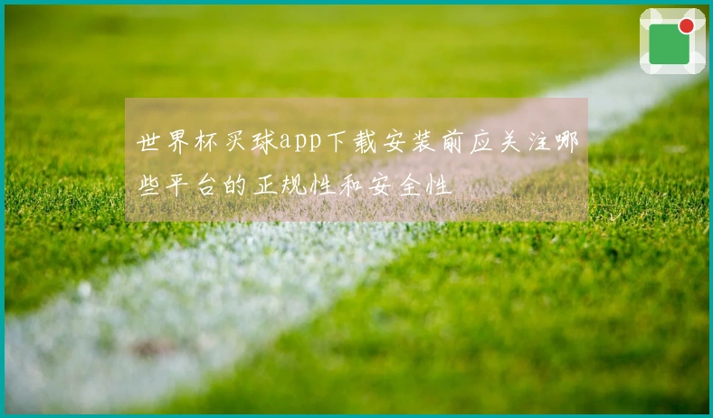 世界杯买球app下载安装前应关注哪些平台的正规性和安全性